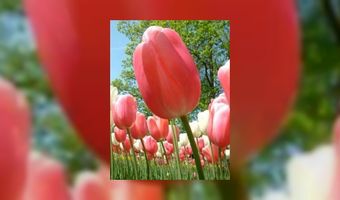 Paasweekeinde pakt beter uit dan verwacht