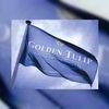 Golden Tulip wankelt