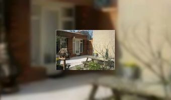 Recordaantal gasten voor Vogelhuis