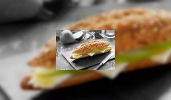 Panesco wordt PANESCOFOOD.COM