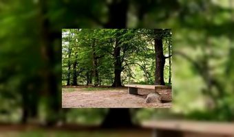 B&b-bankje geplaatst in Kaapse Bossen