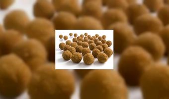 Geen fusie voor Ad van Geloven en Royaan Groep