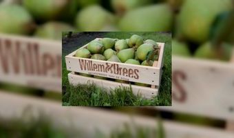 Schrijf u NU in voor de Lunchroomdag