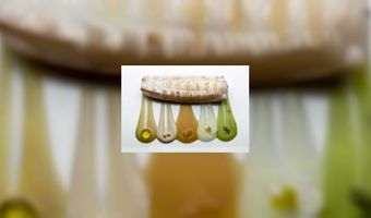 Dit zijn de 5 beste restaurants ter wereld