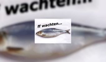 Start haringseizoen uitgesteld