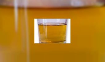 Voor jou: 9 feitjes over whisky