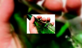 Douane en Belastingdienst tegen fraude