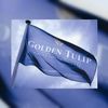 Golden Tulip nieuws roundup