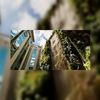 Grootste verticale tuin ter wereld bij hotel