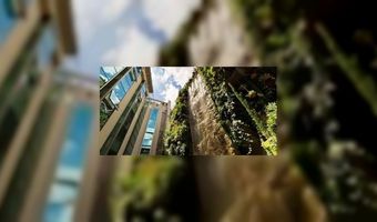 Grootste verticale tuin ter wereld bij hotel