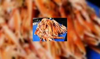 Restaurant vist gratis naar rivierkreeftjes