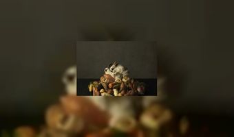 Prachtige food foto's in nieuw boek