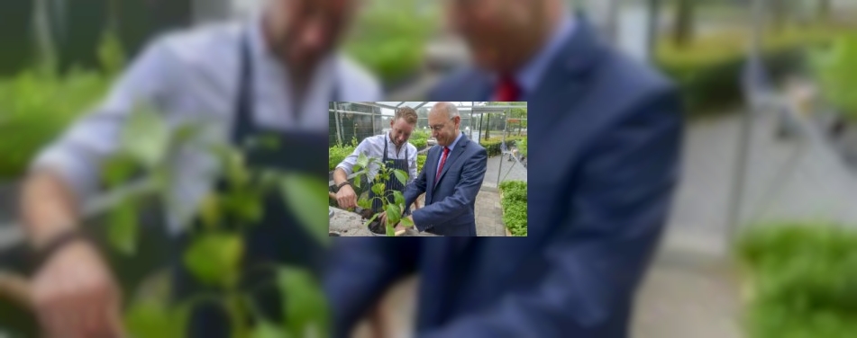 Greg Amse kookt uit eigen kas