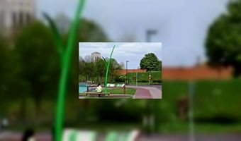 Vier TOP's op Voorne-Putten 