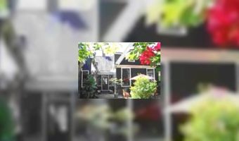 Genomineerden prijs De Pronkkamer