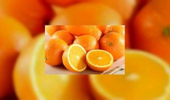 Zoute zeelucht bevorderd het bier drinken