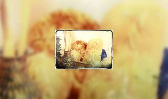 Volkorenbrood niet altijd goed