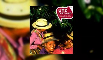 Pickwick lanceert duurzame thee 