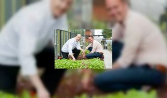 Zelfgekweekte groente bij Bolenius