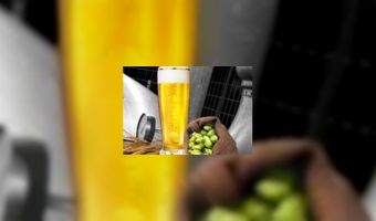 AB Inbev: winst en minder verkoop