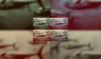 Kim Jong-un wil onderwaterhotel bouwen