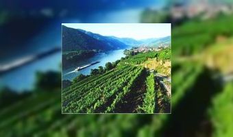 Oostenrijk als opwindend wijnland