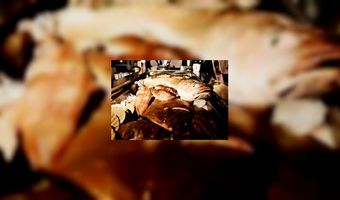 Kok kiest het ruime sop 