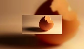 Minder honger door ontbijt met ei