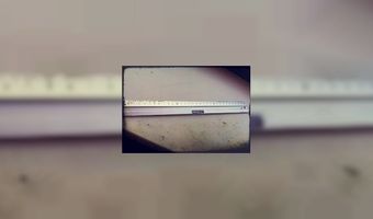 Restaurant De Palatijn verbouwt