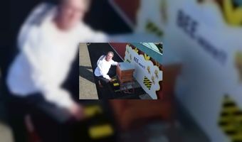 Bijenkolonie voor Palace Hotel Noordwijk