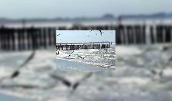 Nederlandse kust onverminderd populair