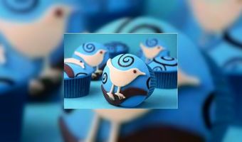 Hotels twitteren helemaal niet massaal