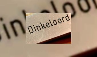 Dinkeloord nieuwe loot bij Fletcher