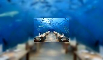 Dineren in Snorkelland (video)