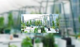 Dakterras Engels kleurt (weer) groen