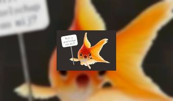 Vissenservice bij b&b Villa BBB