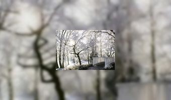 Brasserie Springer start fotowedstrijd 