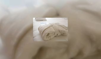 Nieuwe b&b in Lettele