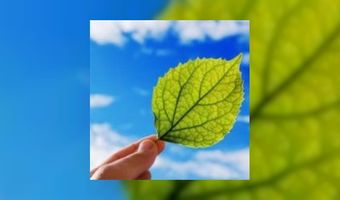 Golden Tulip eerste Gouden Green Key