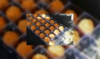 Wagyu-bitterbal gepresenteerd