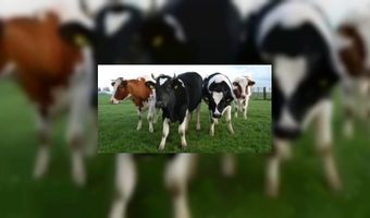 Gast wil biologisch en duurzaam