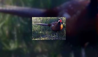 Protest topkoks tegen verbod plezierjacht