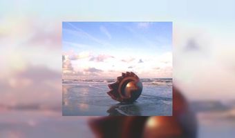 MÃ¶venpick Amsterdam 'verliest het haar' 