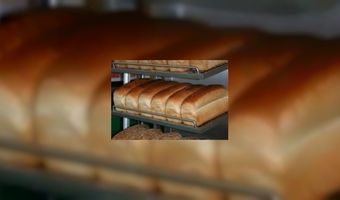 Broodrooster illustratie op brood