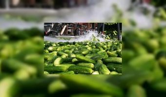 Zeeuwse restaurants vrezen EHEC-bacterie