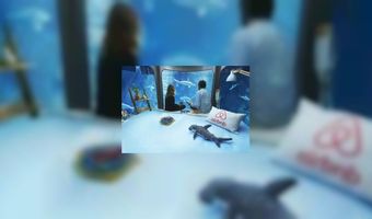 Airbnb laat gasten tussen de haaien slapen