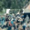 35.000 bezoekers Food Truck Festival TREK