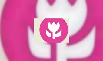 Kanshebbers voor Beste B&B 2013