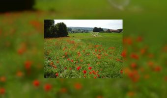 Heuvelland Hotels maakt kleurrijke route