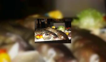 Vakbeurs met persoonlijke aandacht